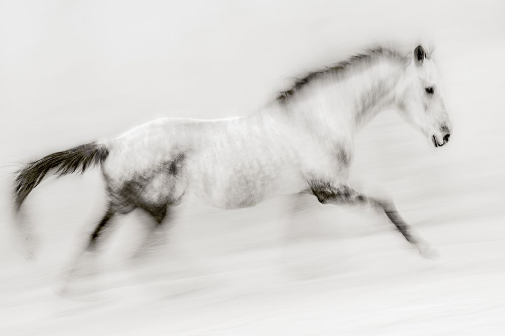 The Unique Brush Stroke art print by Martine Benezech for $57.95 CAD
