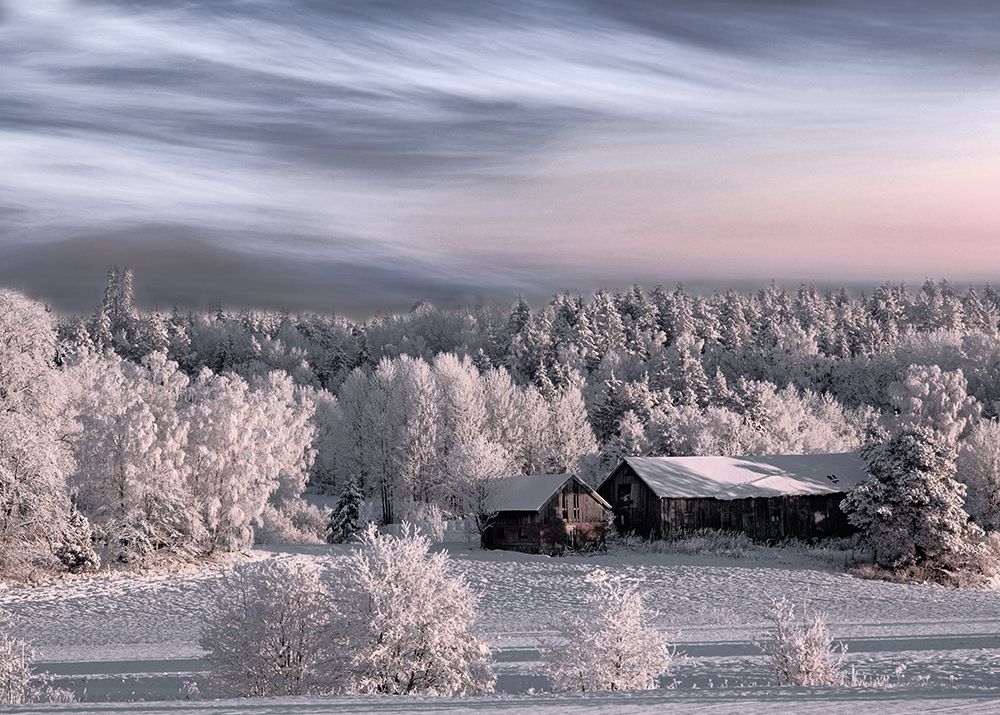 Winter Morning art print by Bjorn Emanuelson for $57.95 CAD