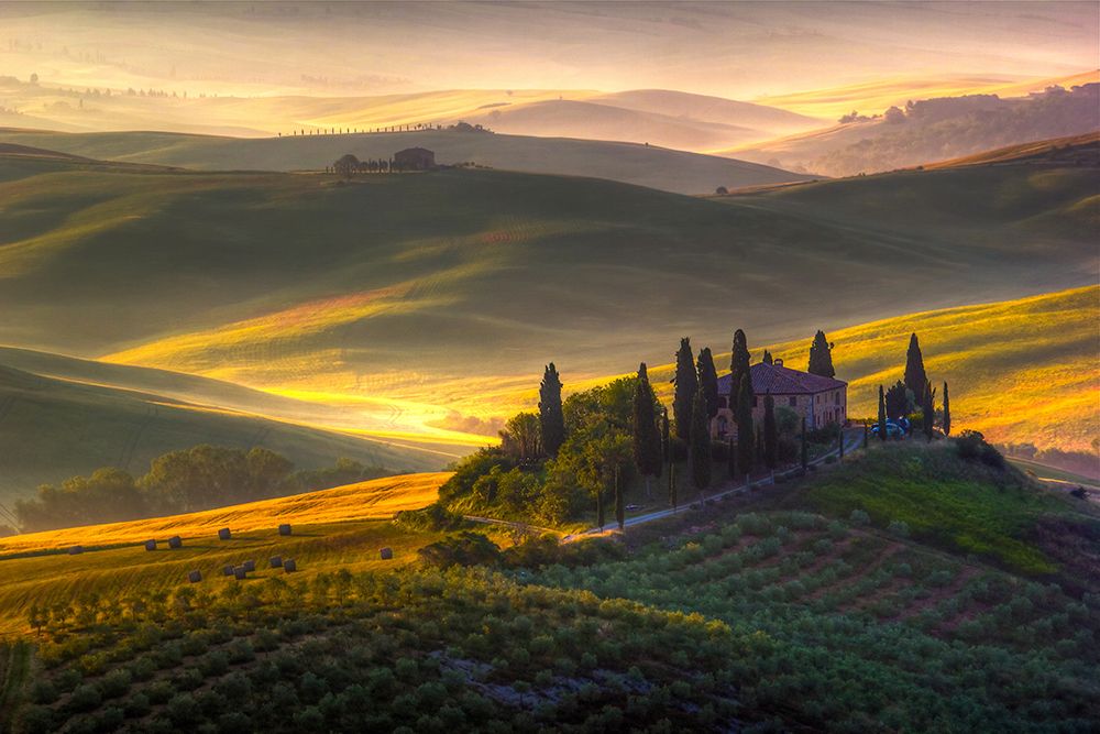 Of Green And Gold art print by Francesco Riccardo Iacomino for $57.95 CAD