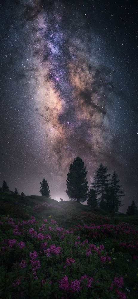 Art Of Night V art print by Carlos F. Turienzo for $57.95 CAD