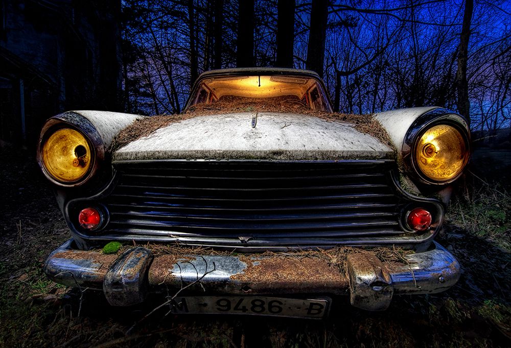 Morris art print by Alfonso Novillo for $57.95 CAD