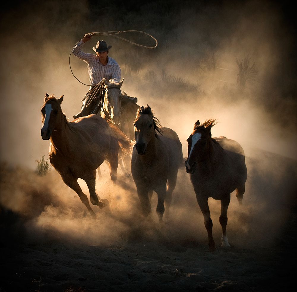 Roundup art print by Stephen Rostler for $57.95 CAD