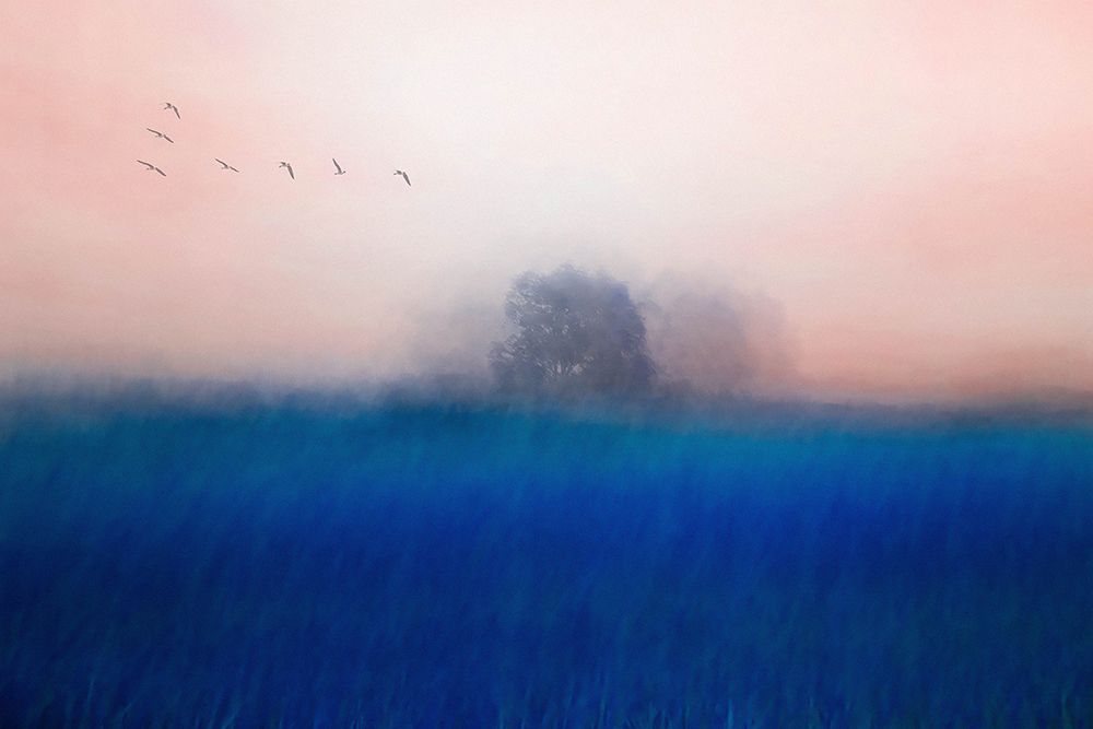 The Tree On The Blue art print by Chunggook Yang for $57.95 CAD