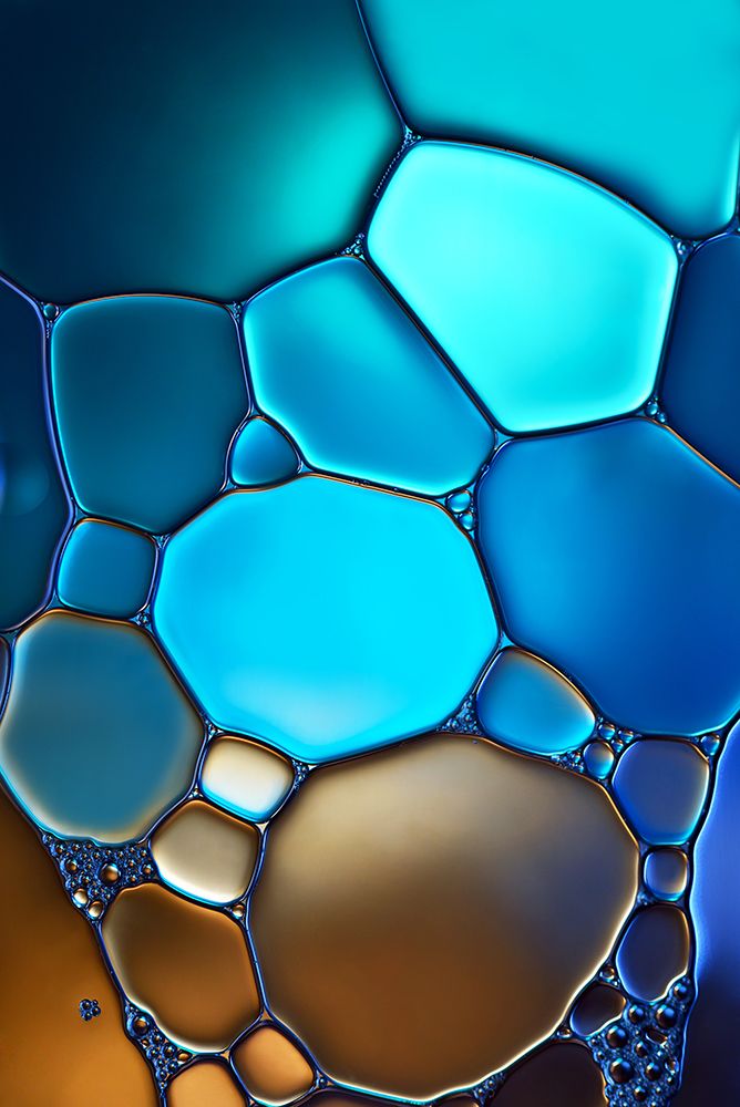 Different Shapes Ll art print by Heidi Westum for $57.95 CAD