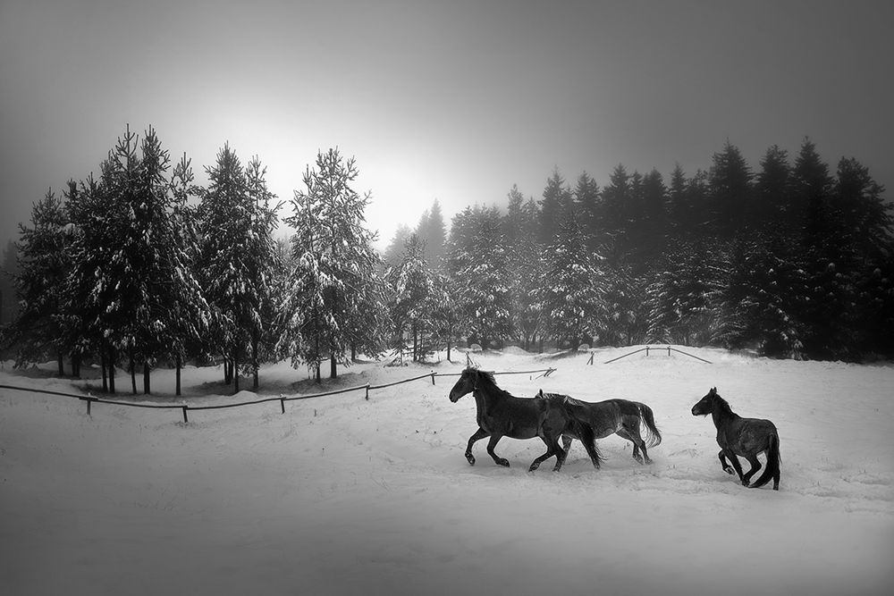 Untitled art print by Todor Tanev for $57.95 CAD