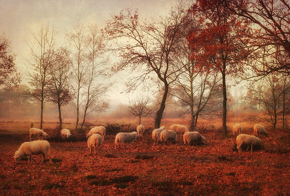 Last Days Of Autumn art print by Ellen Van Deelen for $57.95 CAD