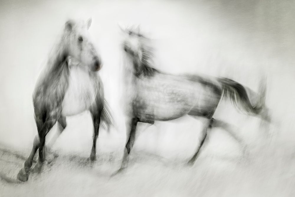 Shivers art print by Martine Benezech for $57.95 CAD