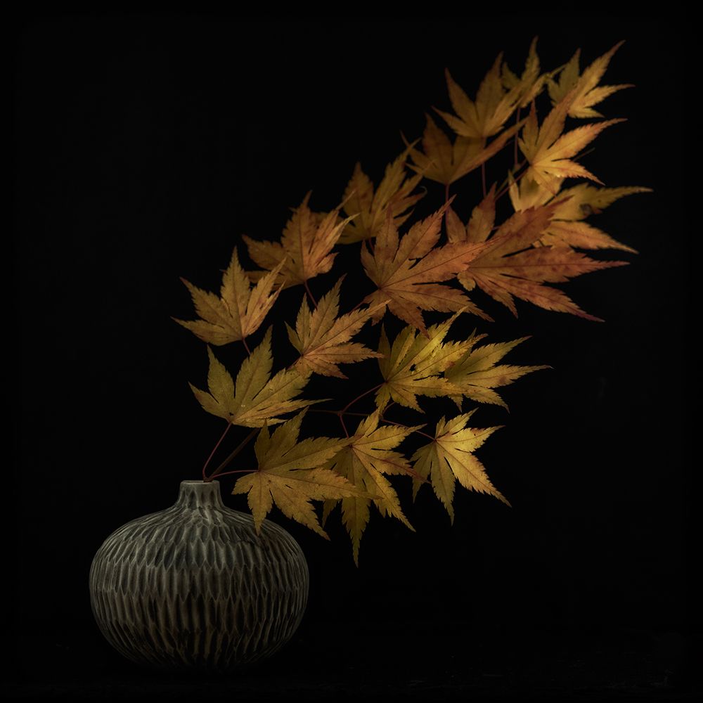 Still life art print by Lotte Gronkjar for $57.95 CAD