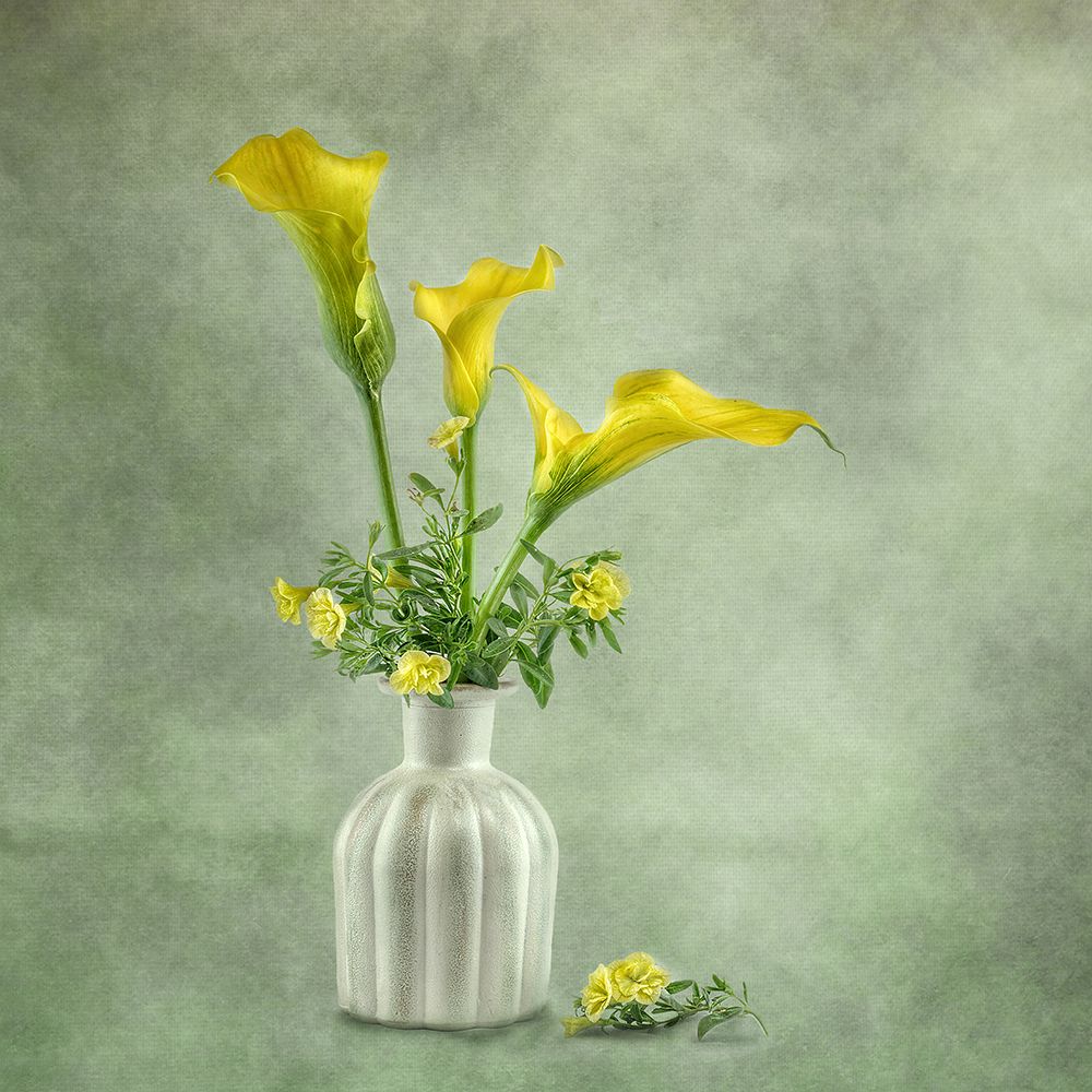 Calia Lillies art print by Gaille Gray for $57.95 CAD