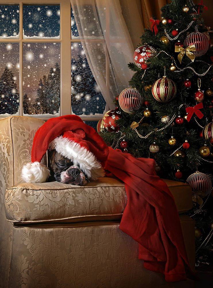 Waiting for Santa art print by DDiArte for $57.95 CAD