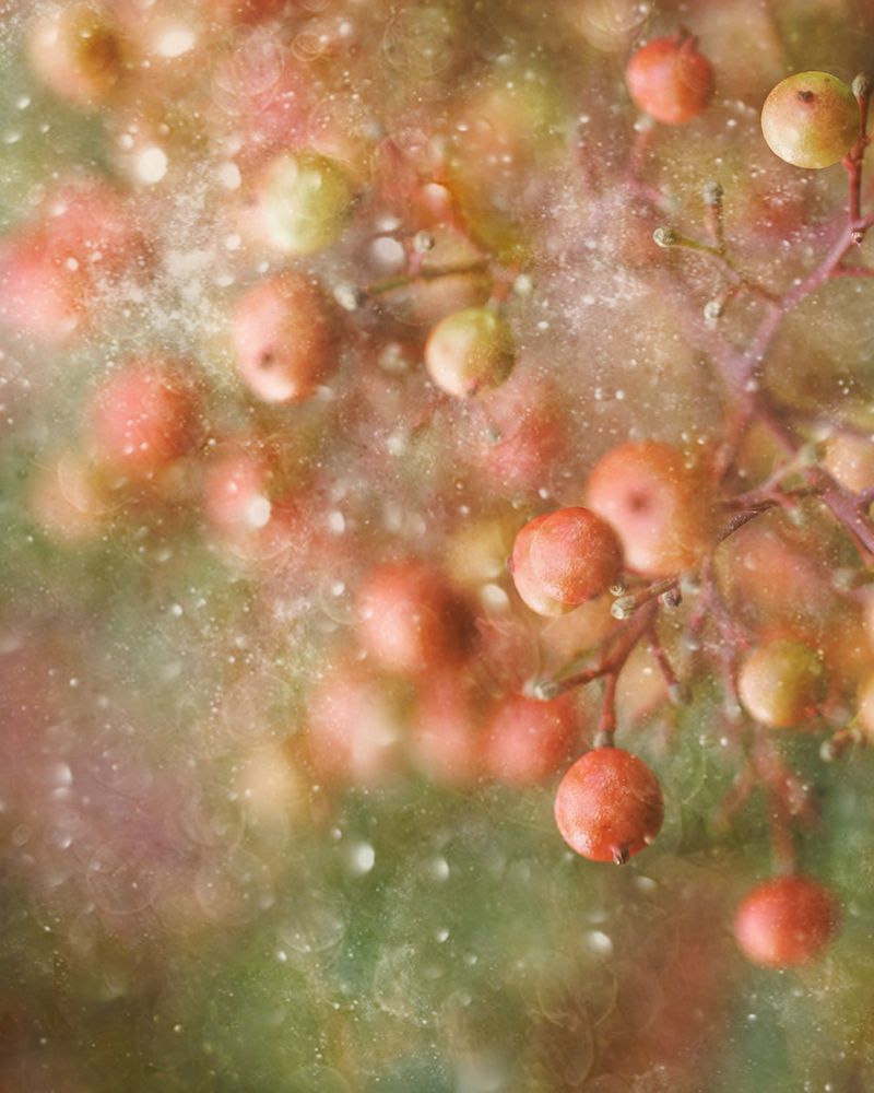Winter-Time art print by Delphine Devos for $57.95 CAD