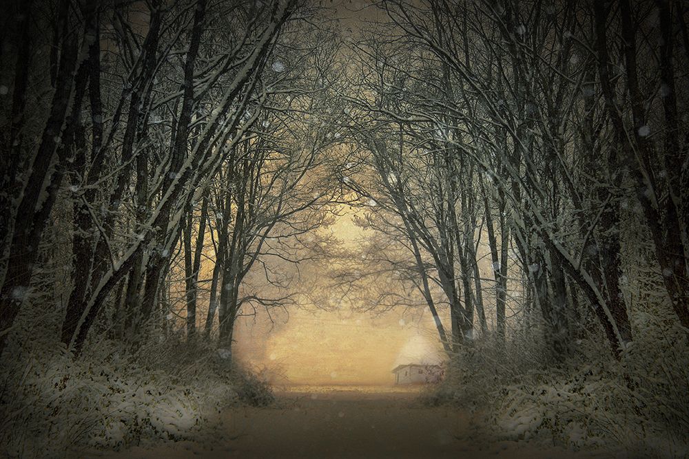 Winter Story art print by Adela Lia for $57.95 CAD