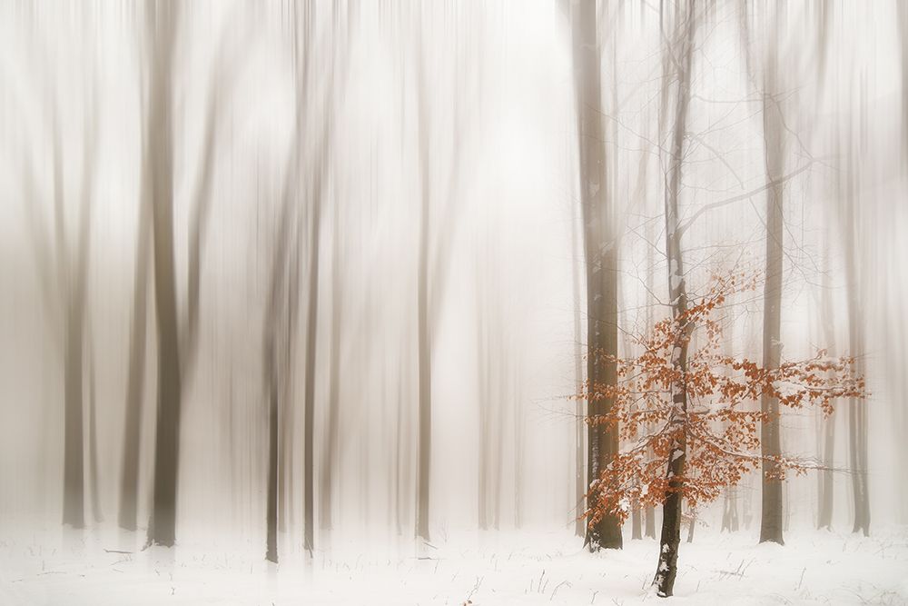 Winter art print by Igor Tinak for $57.95 CAD