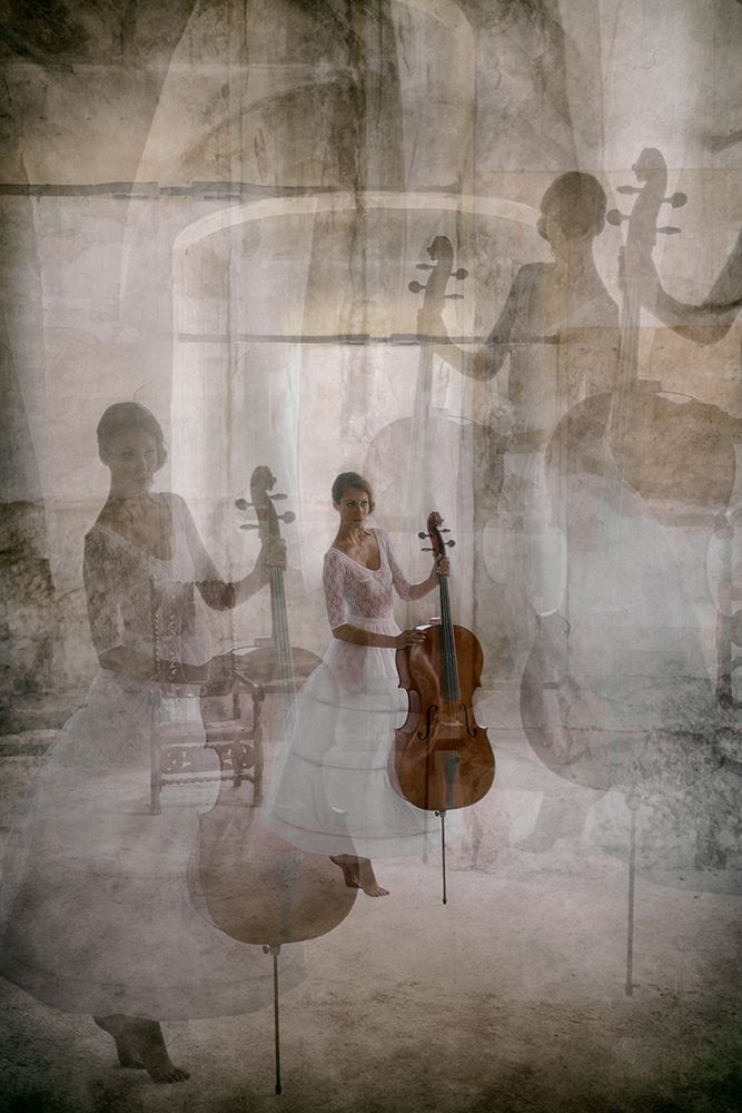 The Stage Fright Of The Cellist art print by Roswitha Schleicher-Schwarz for $57.95 CAD