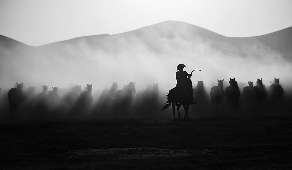 Chasing The Jades! art print by Yavuz Pancareken for $57.95 CAD