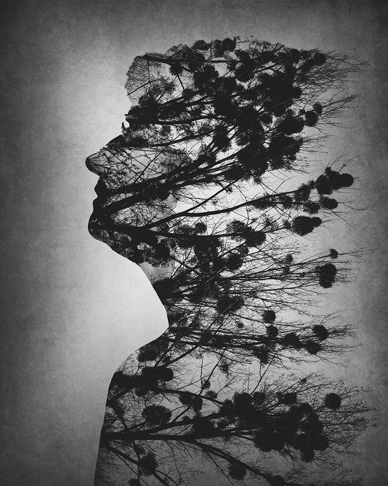 Essence Of Life art print by Dusan Macko for $57.95 CAD