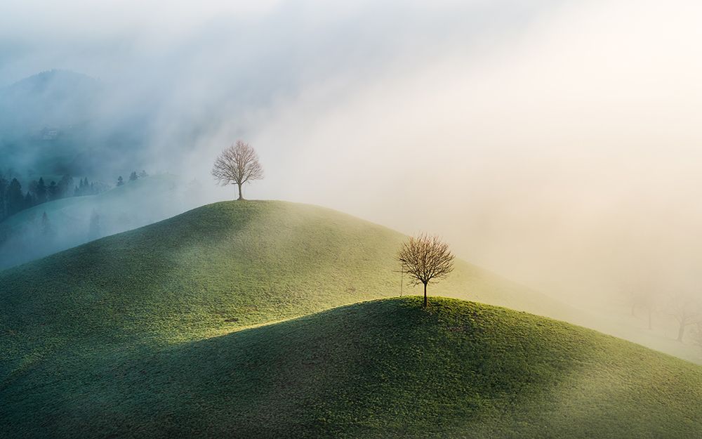 Trees on the hill art print by Burim Muqa for $57.95 CAD