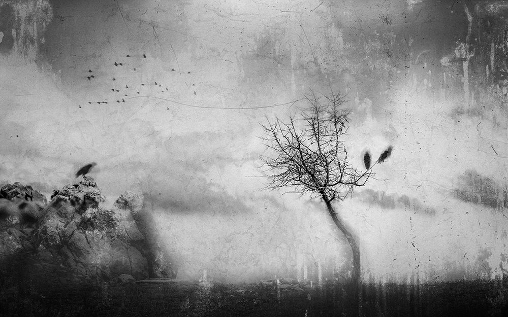 A Slowly Fading Memory art print by Adam Dauria for $57.95 CAD