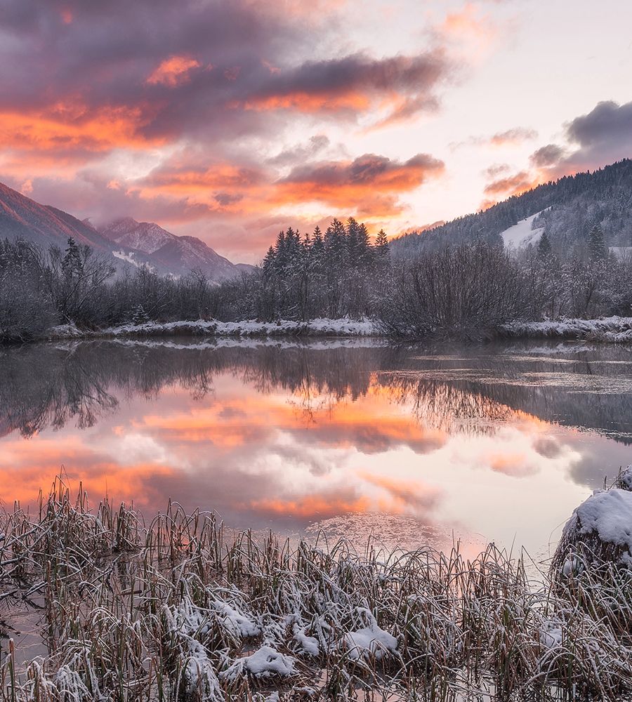 Zelenci Springs art print by Ales Krivec for $57.95 CAD