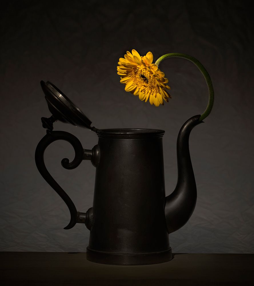 Is It Me In There? art print by Wieteke De Kogel for $57.95 CAD