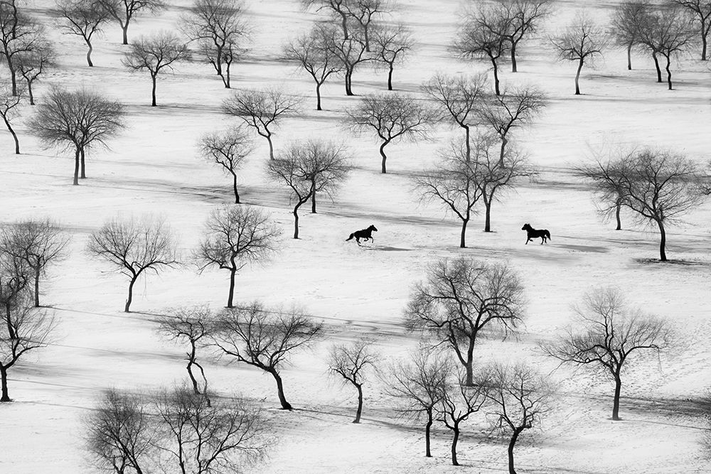 Run art print by Petar Sabol for $57.95 CAD