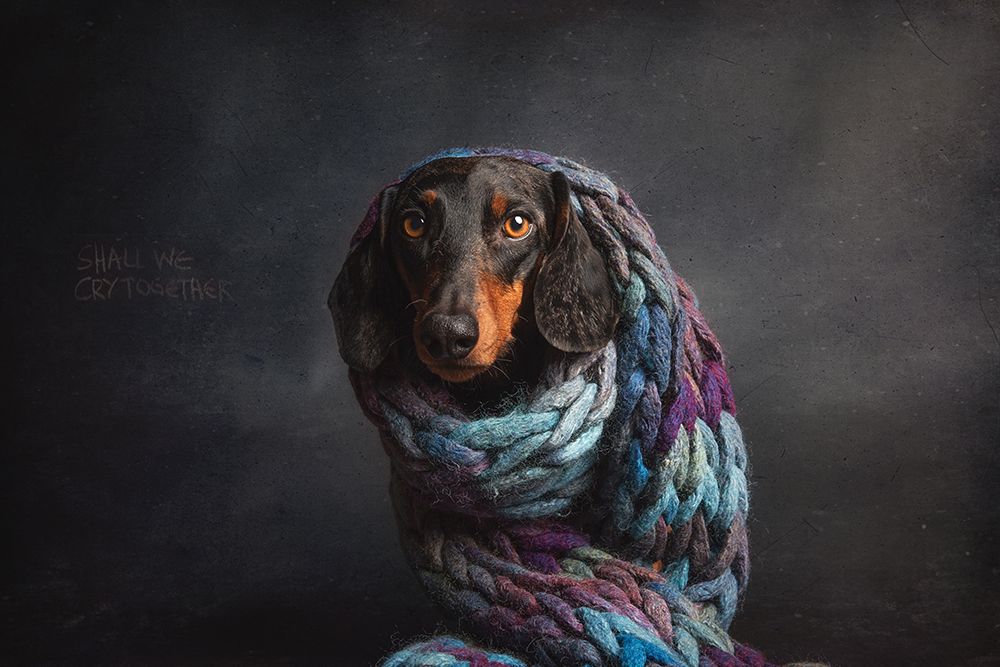 Melancholy,  Or....Shall We Cry Together... art print by Heike Willers for $57.95 CAD