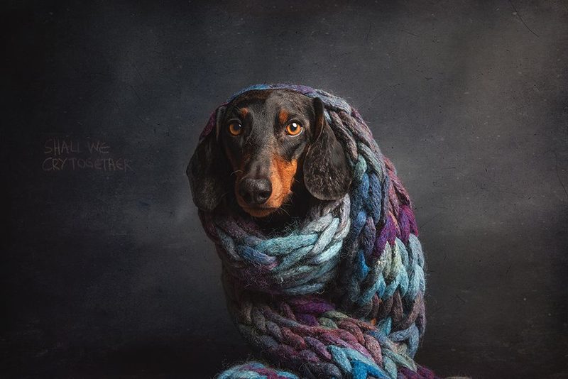 Melancholy,  Or....Shall We Cry Together... art print by Heike Willers for $57.95 CAD