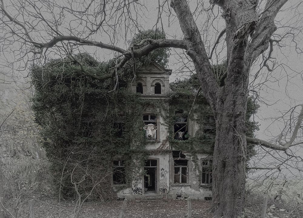 The Last Inhabitants art print by Michiel Hageman for $57.95 CAD