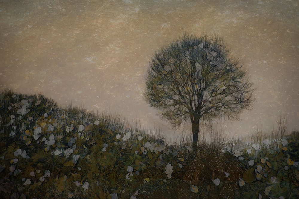 Lonely art print by Nel Talen for $57.95 CAD