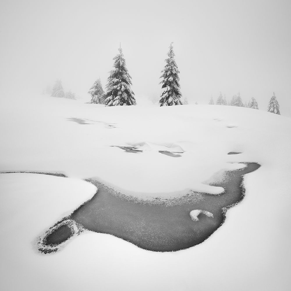 Frozen Swamps art print by Daniel Rericha for $57.95 CAD