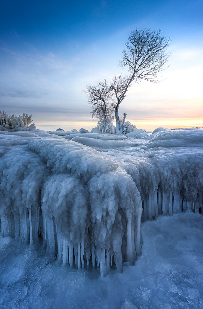 Winter Wonderland art print by Larry Deng for $57.95 CAD