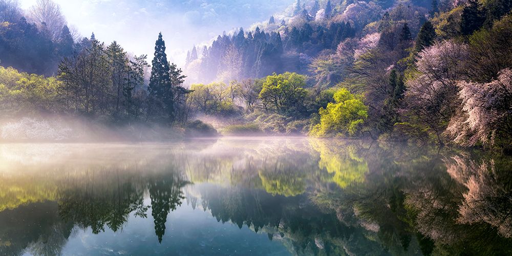 Morning Calm art print by Gwangseop Eom for $57.95 CAD