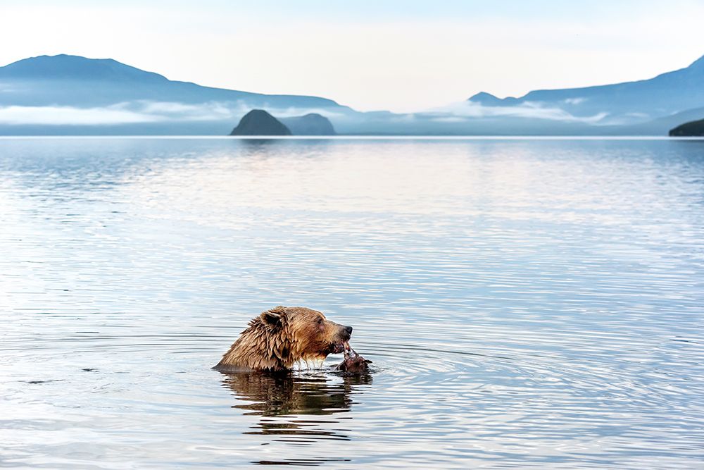 Kurile Lake art print by Giuseppe Damico for $57.95 CAD