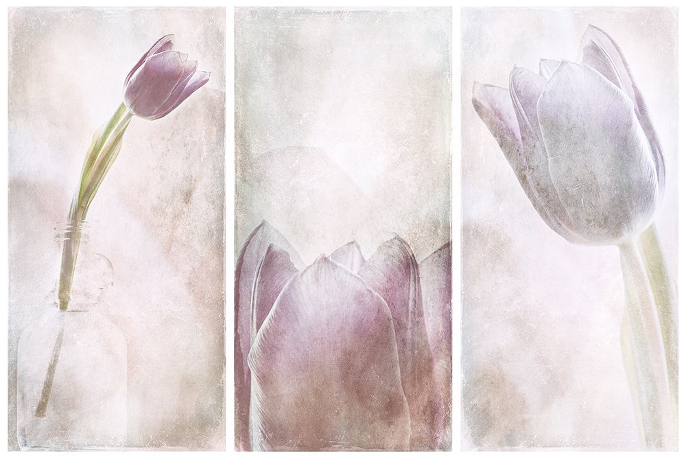 Untitled art print by Gustav Davidsson for $57.95 CAD