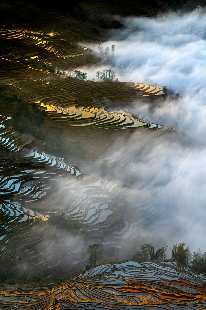 Colorful Rice Terraces art print by Hua Zhu for $57.95 CAD