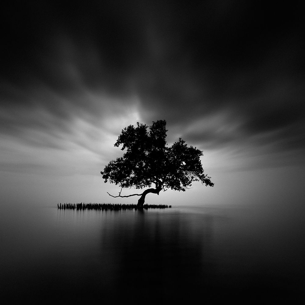 Back Light art print by Rony Tjayana for $57.95 CAD