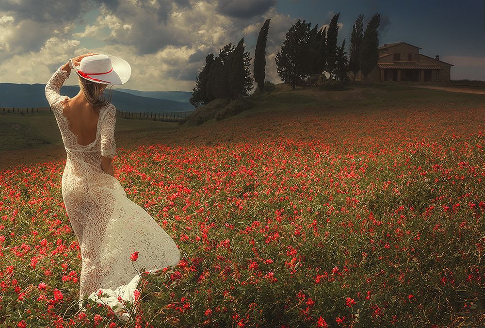 WALKING IN TUSCANY art print by Paolo Lazzarotti for $57.95 CAD