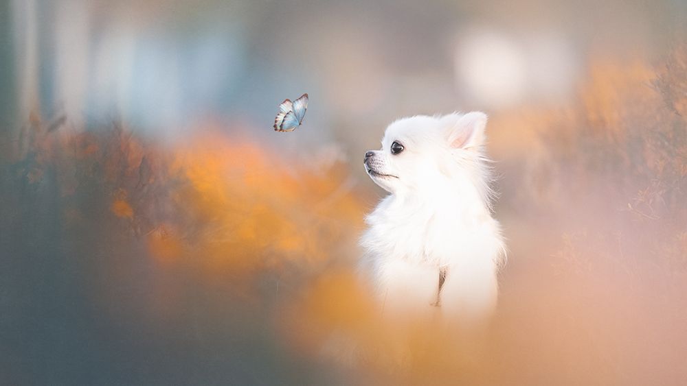 Tiny Love art print by Lienjp for $57.95 CAD