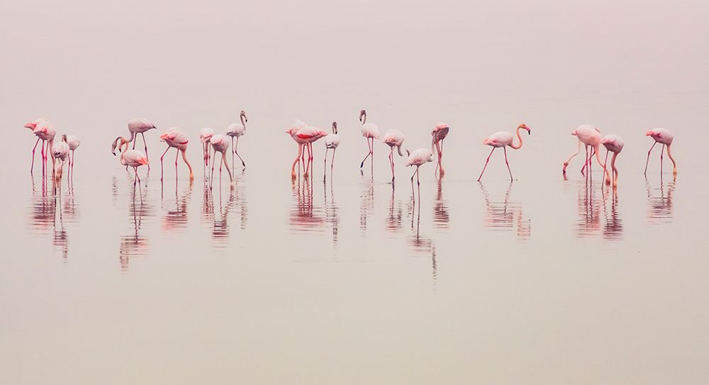 Water Ballet art print by Ahmed Thabet for $57.95 CAD