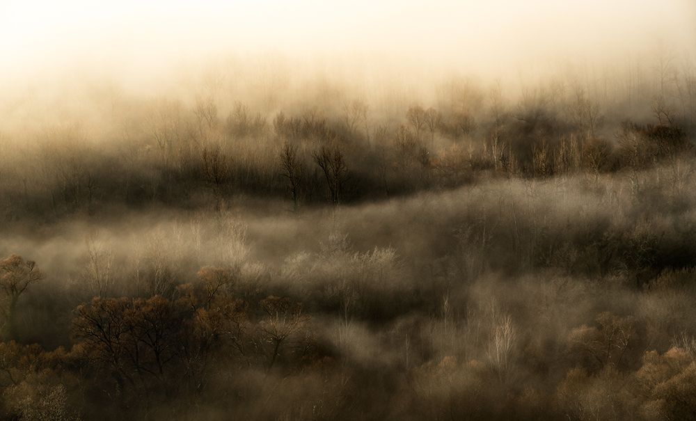 Untitled art print by Riccardo Lucidi for $57.95 CAD
