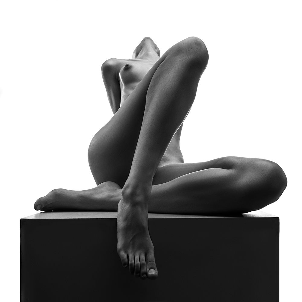 Proud On The Cube art print by Aurimas Valevicius for $57.95 CAD