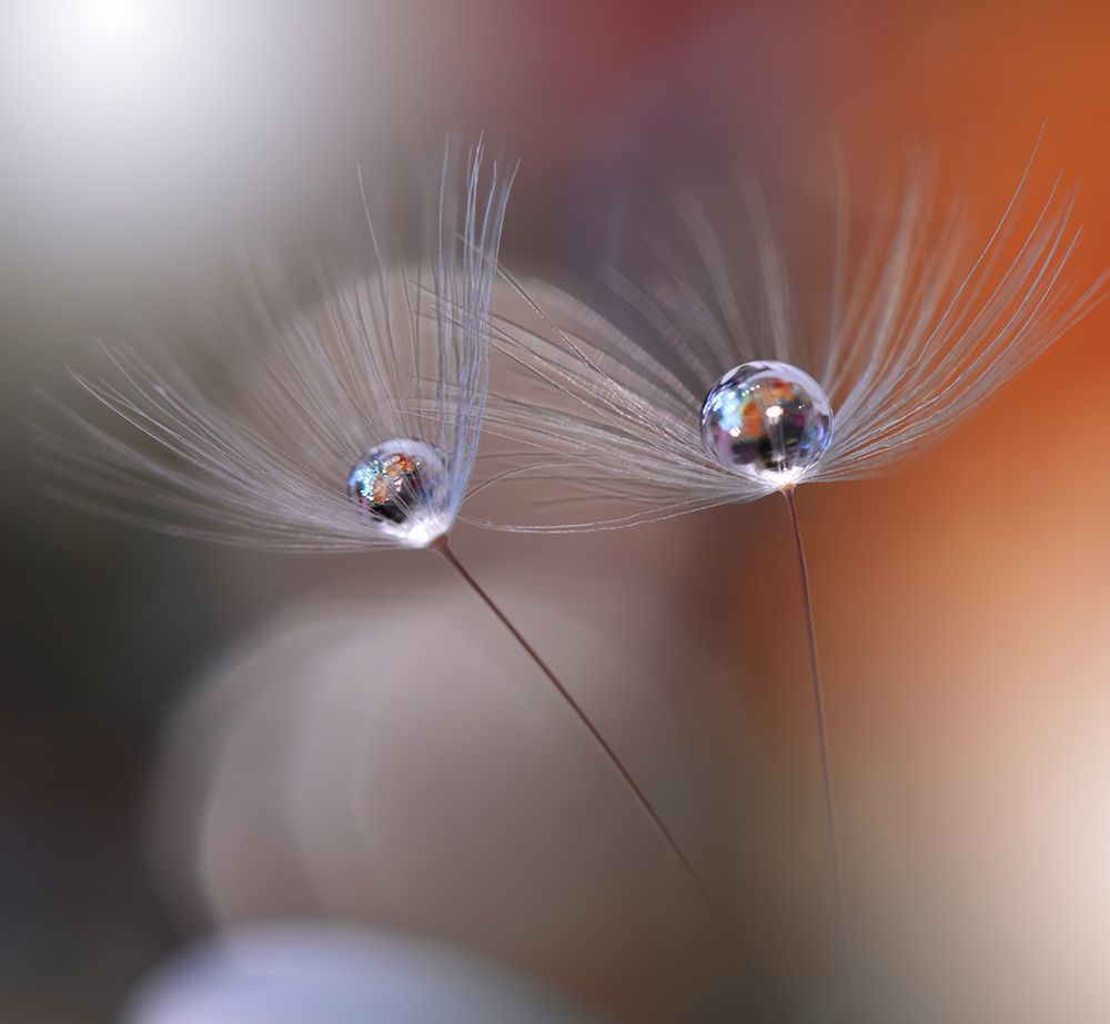 Immortal Love.. art print by Juliana Nan for $57.95 CAD