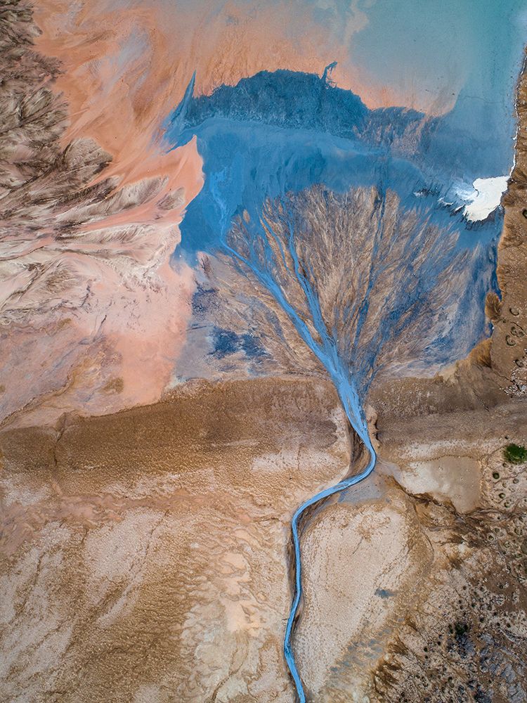 The Blue Tree art print by Marc Pelissier for $57.95 CAD