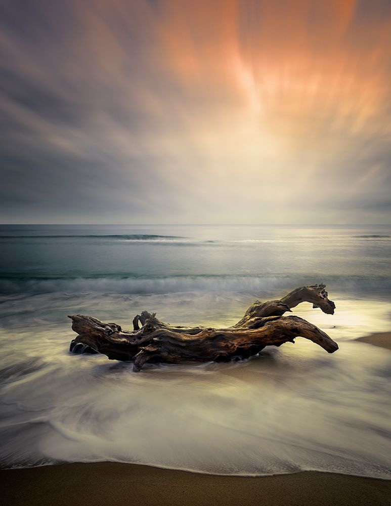 Morning Light art print by Albena Markova for $57.95 CAD