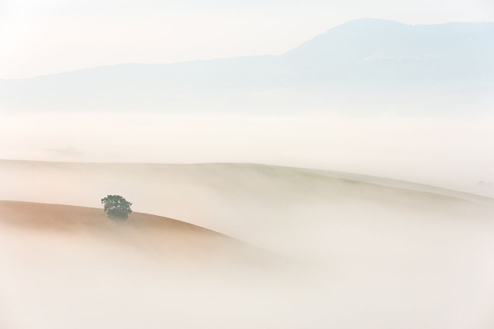 Tuscany art print by Grzegorz Lewandowski for $57.95 CAD