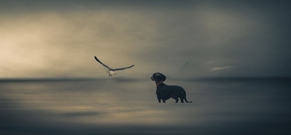 Dreamer....Just A Little Dreamer..... art print by Heike Willers for $57.95 CAD