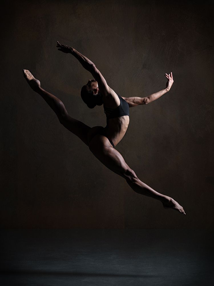Elegance In The Dark art print by Luc Stalmans for $57.95 CAD