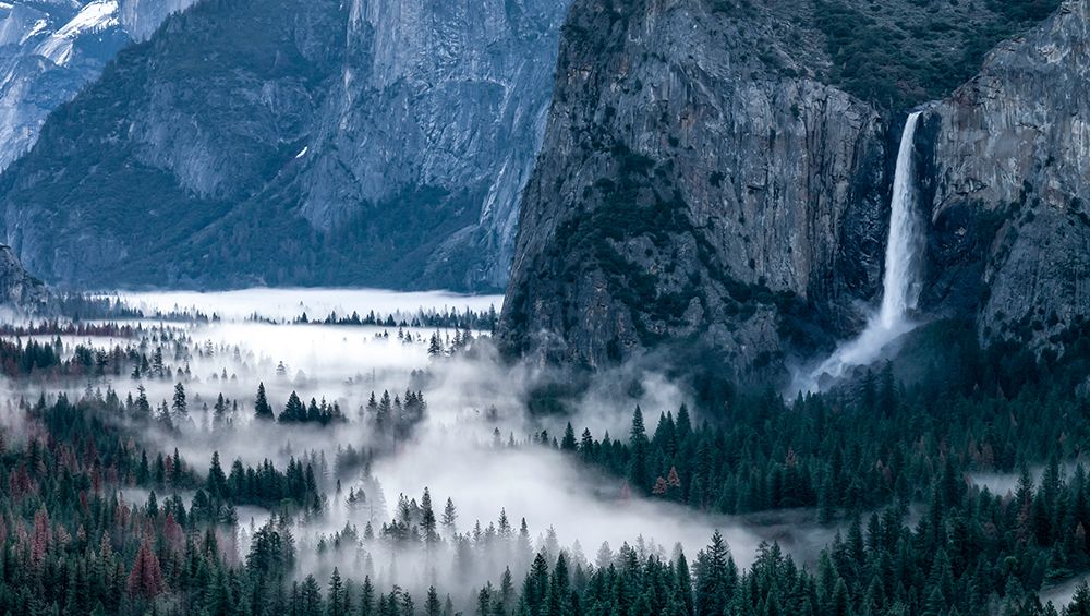 Spring In The Yosemite Valley art print by Rob Darby for $57.95 CAD