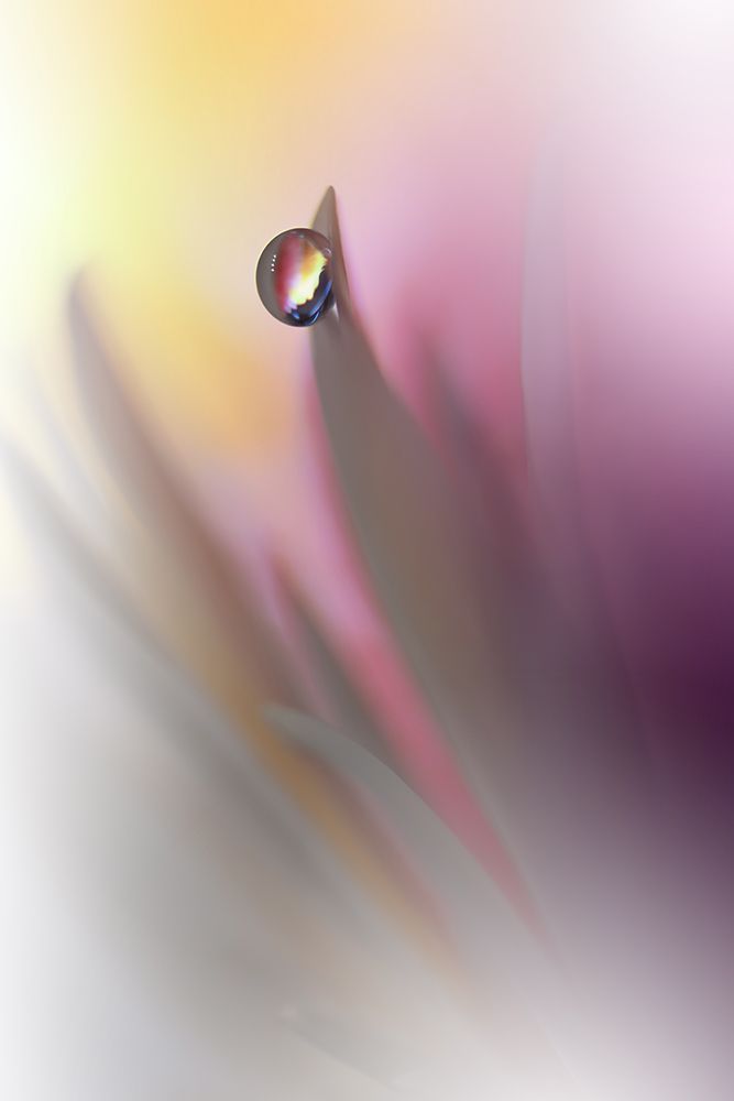 Abstract Illusion.. art print by Juliana Nan for $57.95 CAD