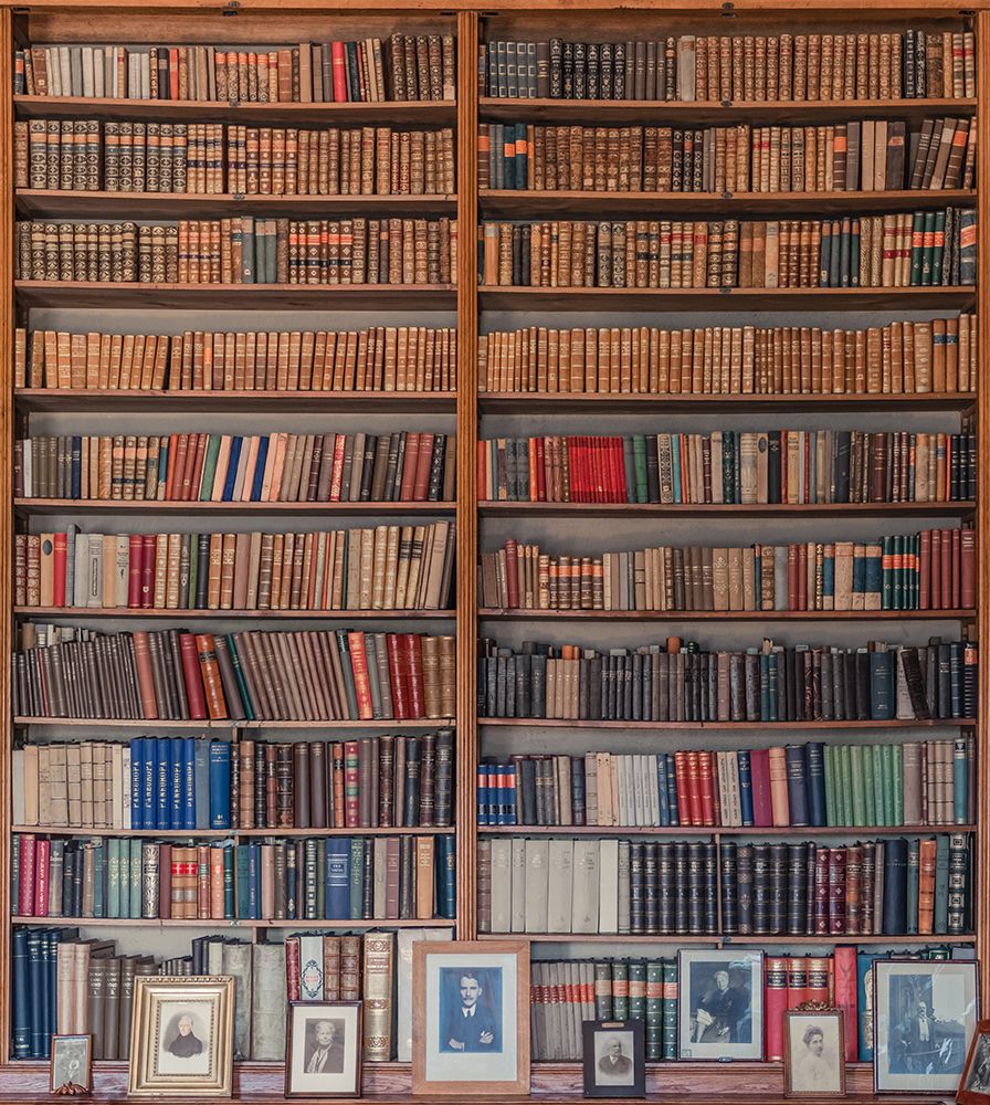 My Library art print by Miroslaw for $57.95 CAD